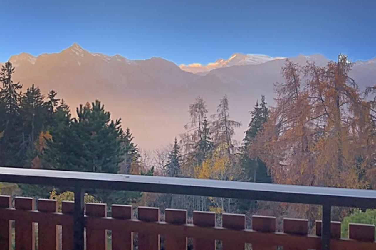 Les Mayens De L'Ours - At The Foot Of Piste De L'Ours' Slope! Agettes 外观 照片